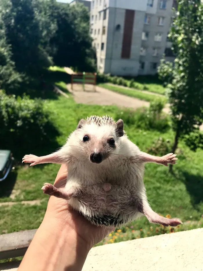 Stay Weird