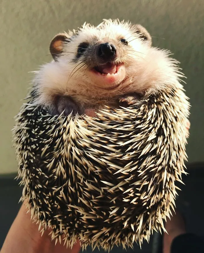 Being Happy Never Goes Out Of Style