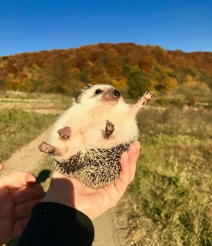 "Hello, Fall"