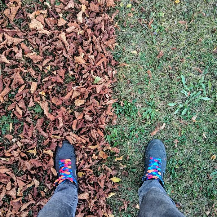 Half Split World