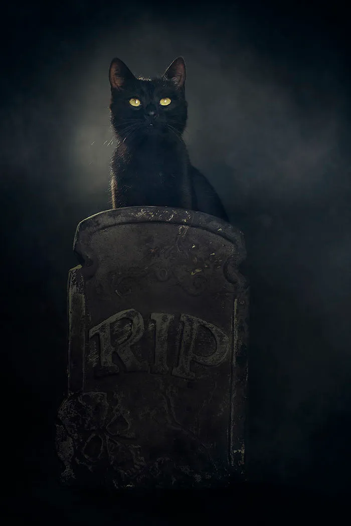 I Photograph Animals Every Halloween