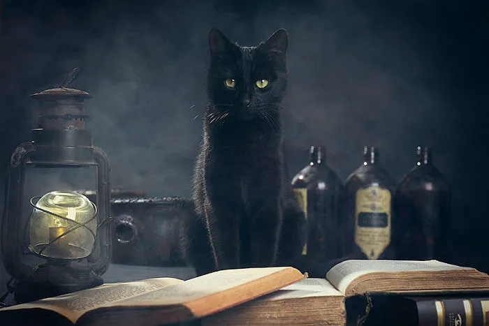 I Photograph Animals Every Halloween