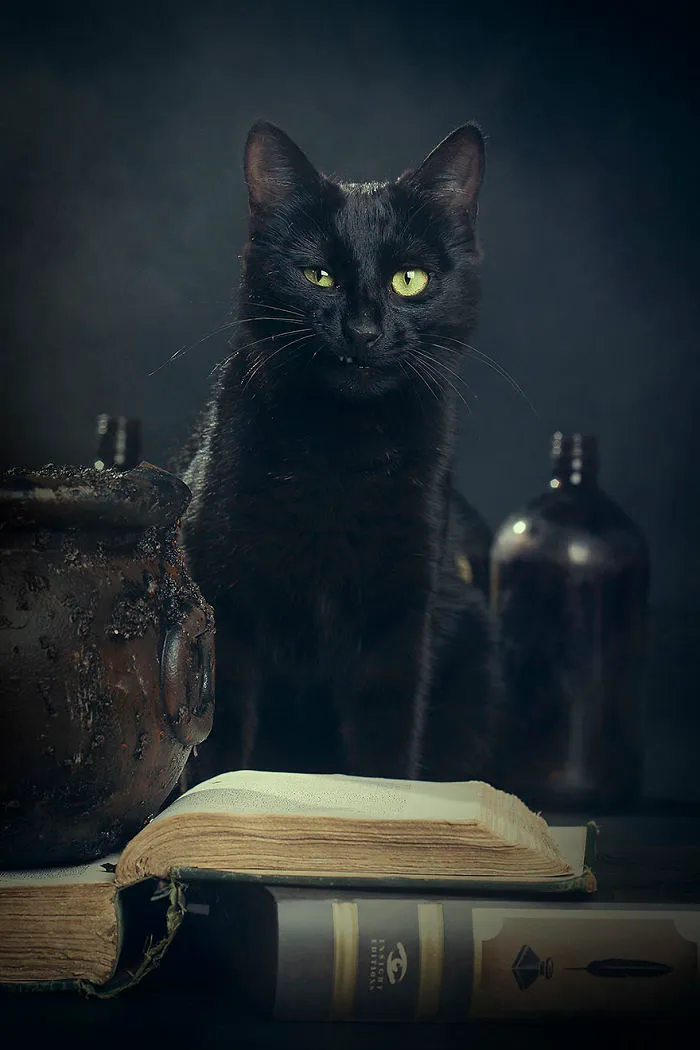 I Photograph Animals Every Halloween