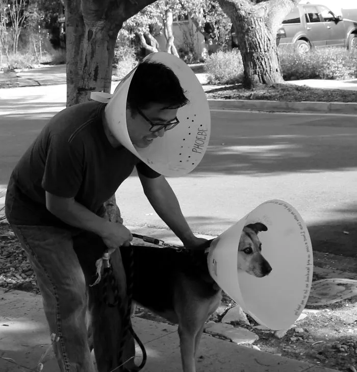To Help My Depressed Dog Feel Less Self-Conscious, I Bit The Bullet.