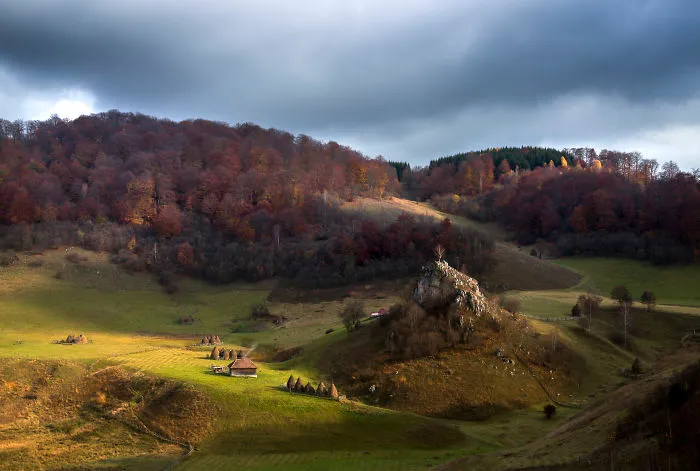 I Have Been Looking For Dracula In Transylvania, But I Found This Instead