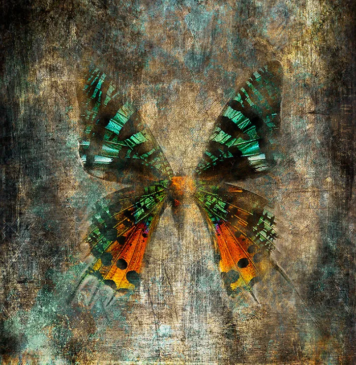 I Combine The Oldest Type Of Photography With Modern Technology Creating A New Technique Dagegraphy