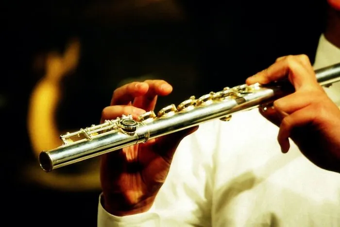 Your Body Is A Musical Instrument