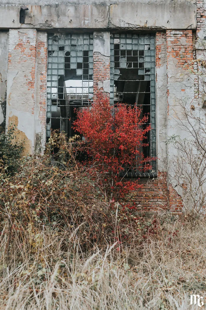 We Spent All Day On Urbex In An Old Paper Factory