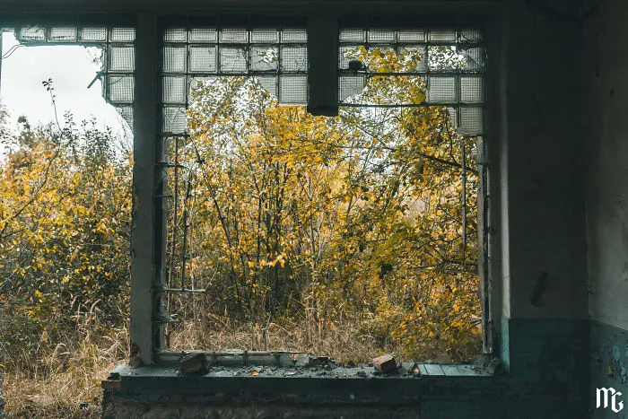 We Spent All Day On Urbex In An Old Paper Factory