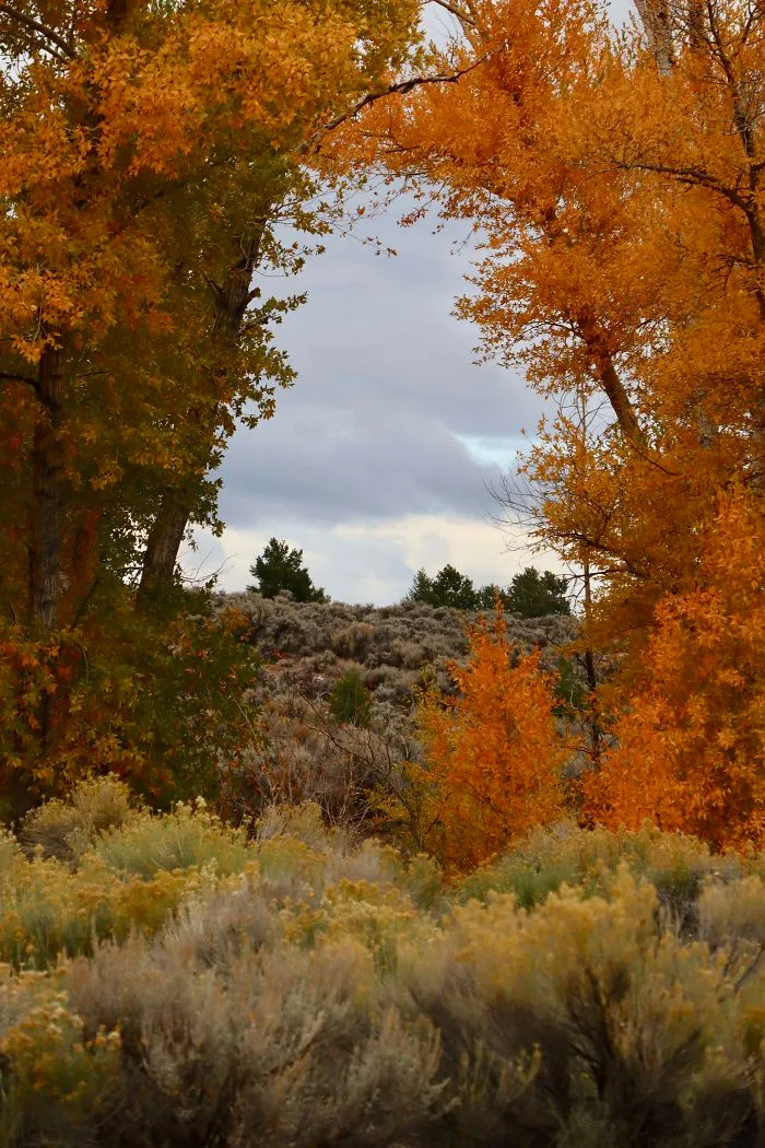 Gateway To Autumn