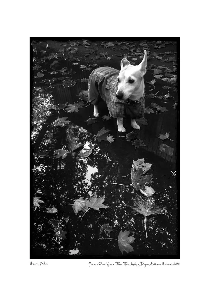Autumn (6 Oct 2018)