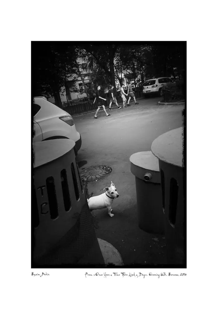 Evening Walk (5 Aug. 2018)
