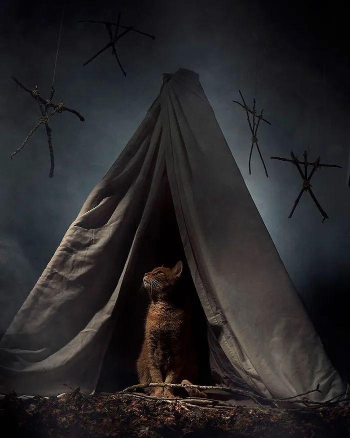 I Photograph Animals Every Halloween