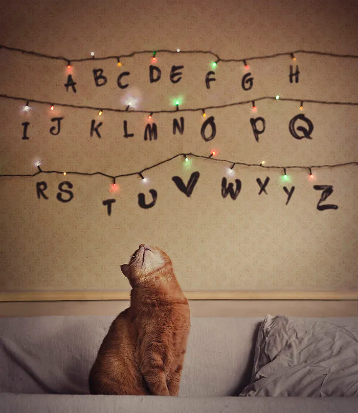 I Photograph Animals Every Halloween