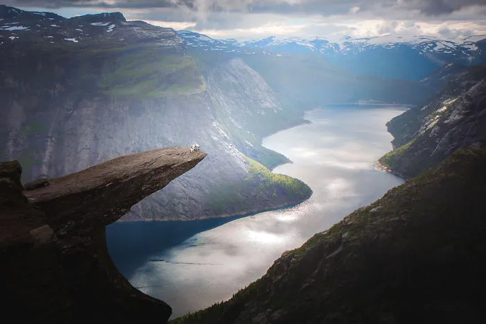 Adventurous Dogs In Breathtaking Landscapes: I Photographed Four-Legged Models In Norway, Iceland And Alaska (30 Pics)
