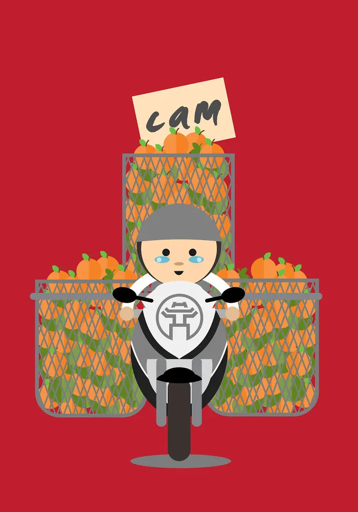 I Illustrate The Amazing Loads Of Motorbikes In Hanoi, Vietnam (Part 3)