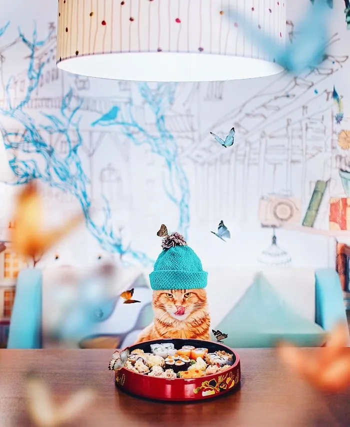 I Photograph The Adventures Of My Cat (30 Pics)