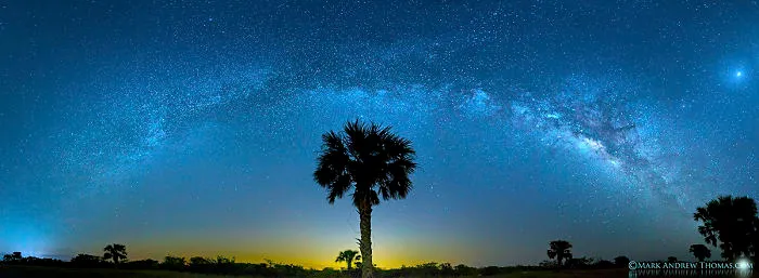A Night In The Everglades