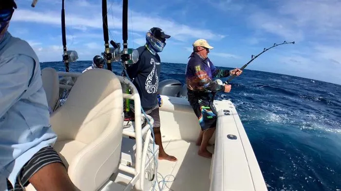 Why Do We Lose Fish? Common Mistakes To Avoid