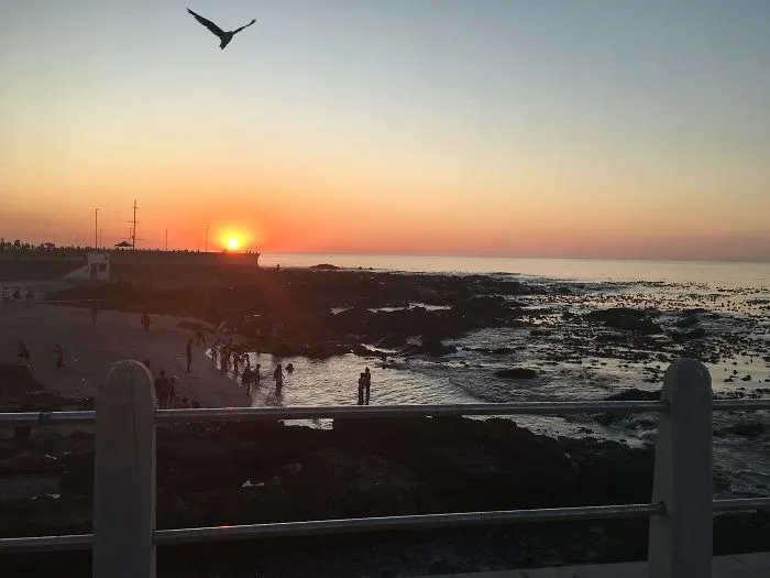 Why Daily Life In South Africa Is So Magical