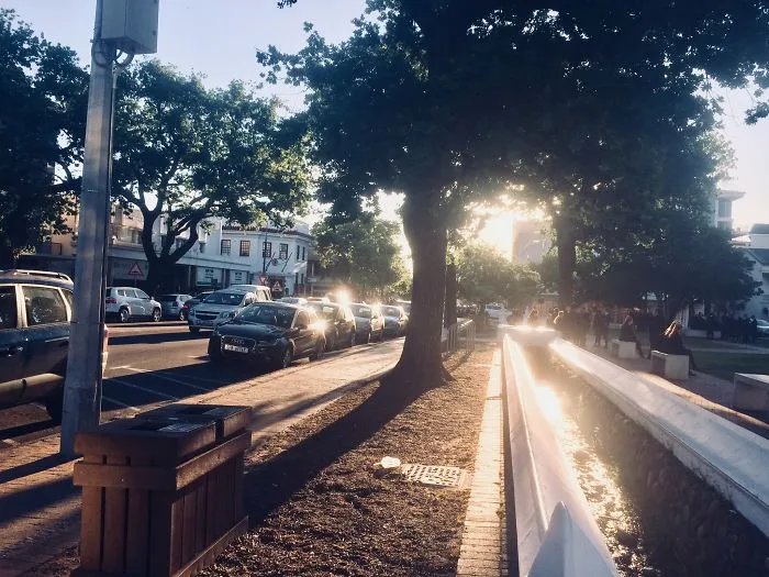 Why Daily Life In South Africa Is So Magical
