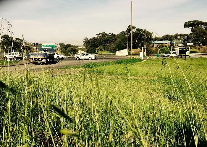Why Daily Life In South Africa Is So Magical