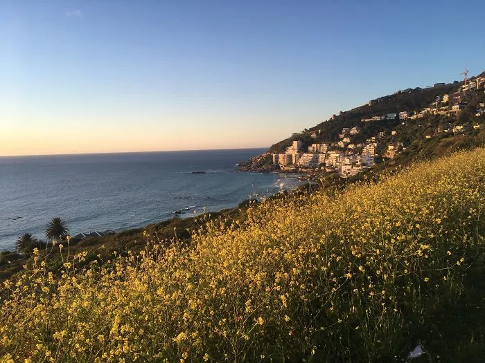 Why Daily Life In South Africa Is So Magical