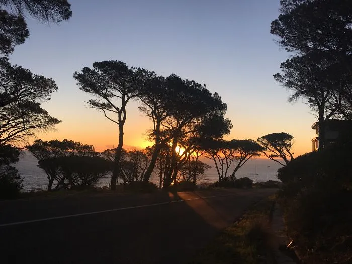 Why Daily Life In South Africa Is So Magical