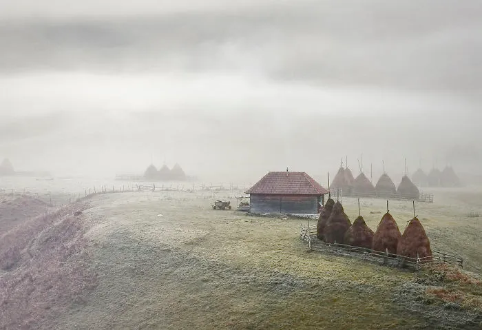 I Have Been Looking For Dracula In Transylvania, But I Found This Instead