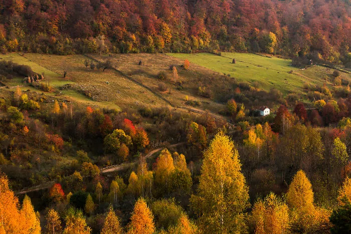 I Have Been Looking For Dracula In Transylvania, But I Found This Instead