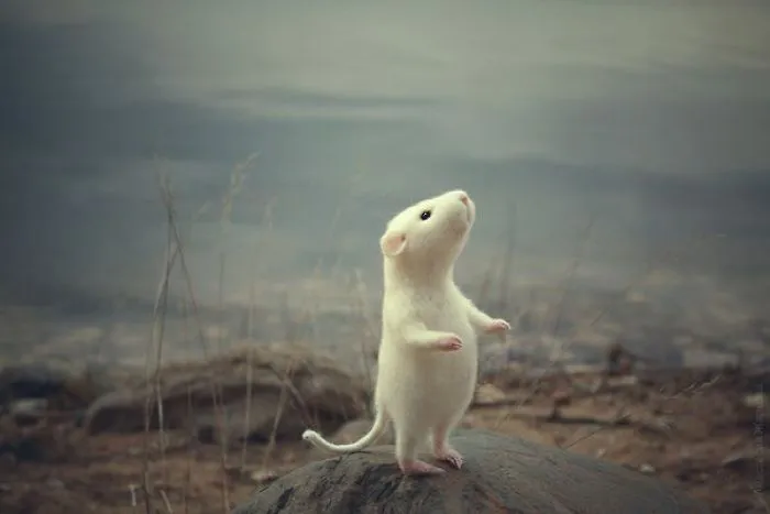 Professional Felt Artist Creates 22 Miniature Characters And They're Just Too Cute