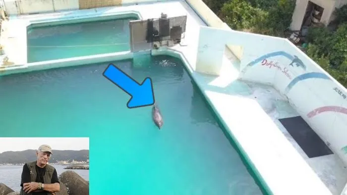 Two Months After This Aquarium Was Abandoned, Animal Activists Made A Chilling Discovery