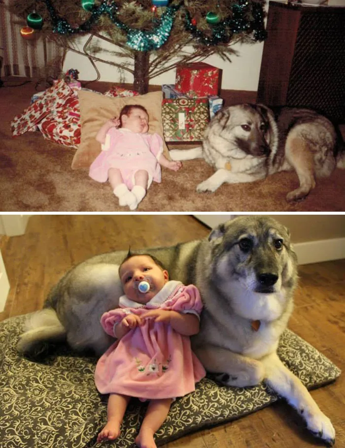Mi esposa y su perro hace 30 años / Nuestra hija y su perro