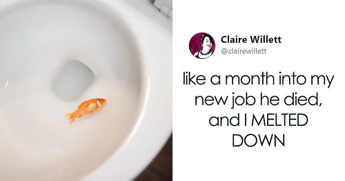 This Woman’s Co-Workers Hold A Funeral For Her Dead Fish And People Can’t Stop Laughing At How It Turned Out