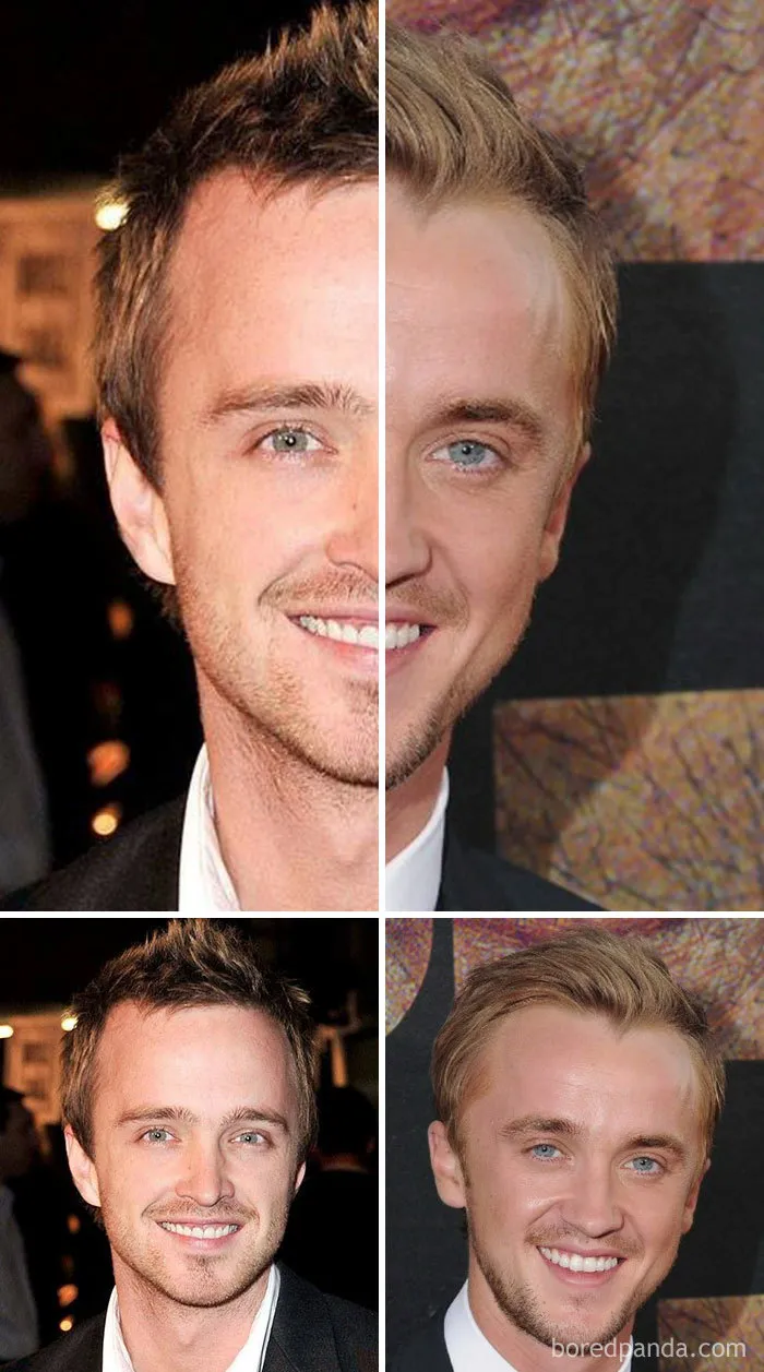 Aaron Paul And Tom Felton 