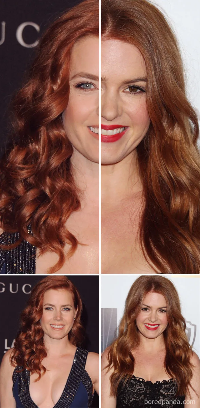 Amy Adams And Isla Fisher