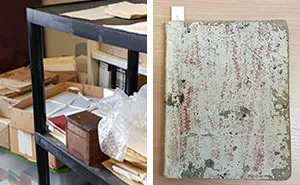 This History Museum Has Made Such A Fascinating Discovery That Even J. K. Rowling Responded