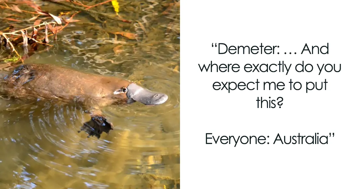 Tumblr Users Discuss Why A Coconut Is Not Considered A Mammal, And It Escalates Quickly
