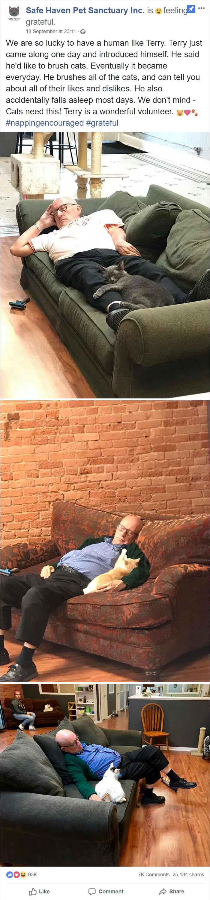 This Man Volunteers Every Day At A Local Shelter For Special Needs Kitties, And Each One Of Them Gets In Their Turn For A Cuddly Cat Nap