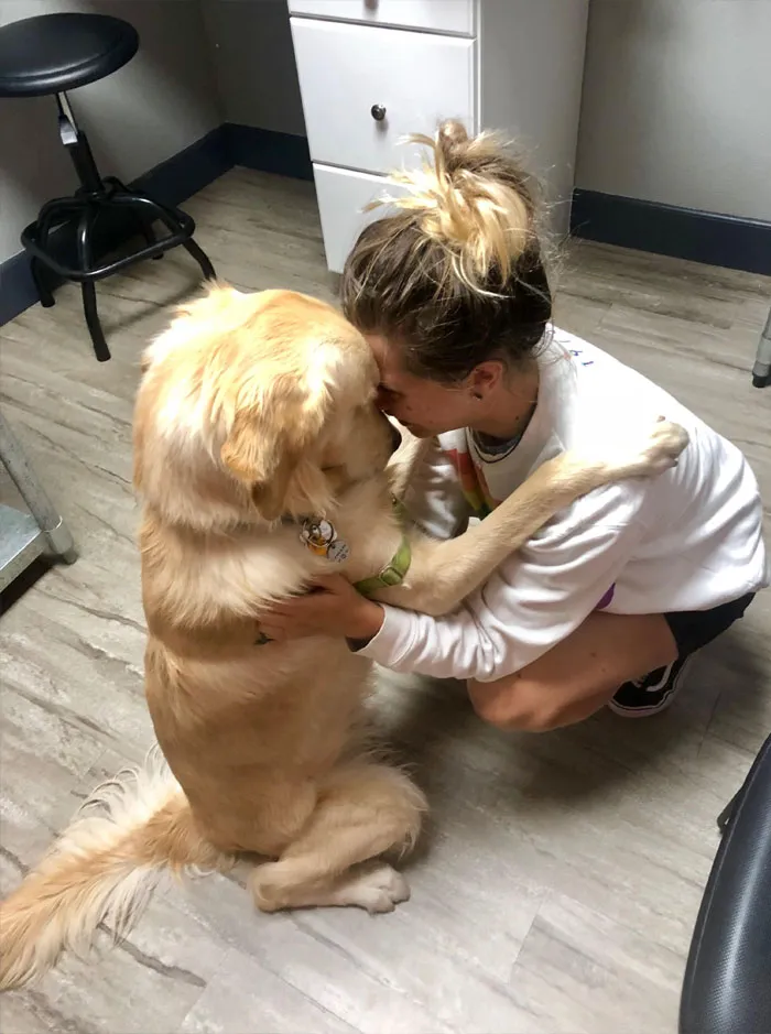 Mi perro está en cuarentena en el veterinario y le tengo que explicar que los otros perros quieren ser sus amigos, pero no puede jugar ahora con ellos porque está muy enfermo