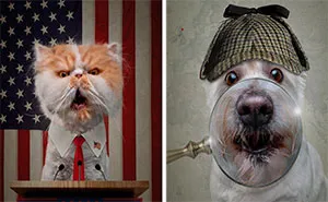 I Create Badass Human Like Characters From Dog Photos