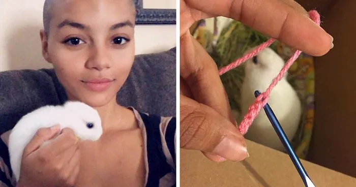 Bunny Born With No Ears Gets The Most Adorable Crocheted Sets From The Owner