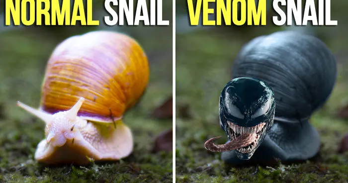 6 Mind Controlling Parasites That Are Worse Than Venom [VIDEO]