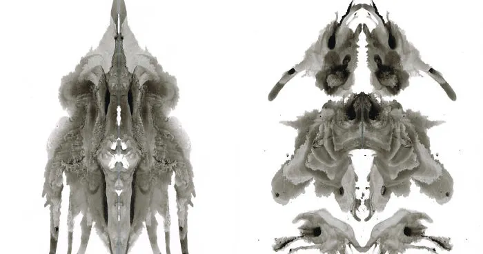 What Do You See?