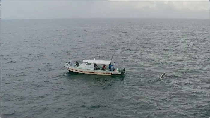 Fishing With Drones