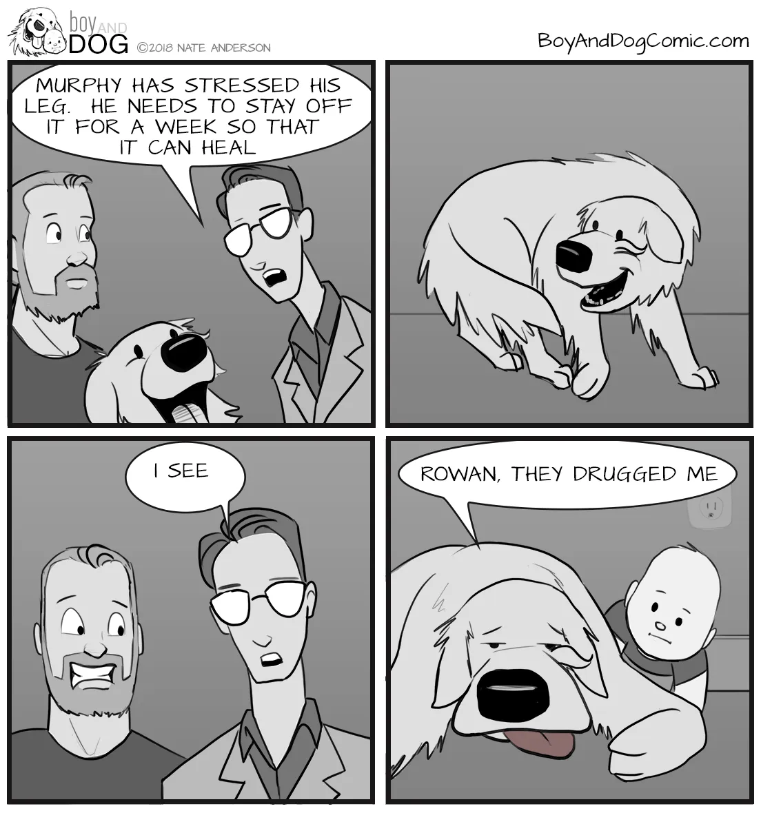 The Only Way To Make This Dog Hold Still Is To Administer Tranquilizers