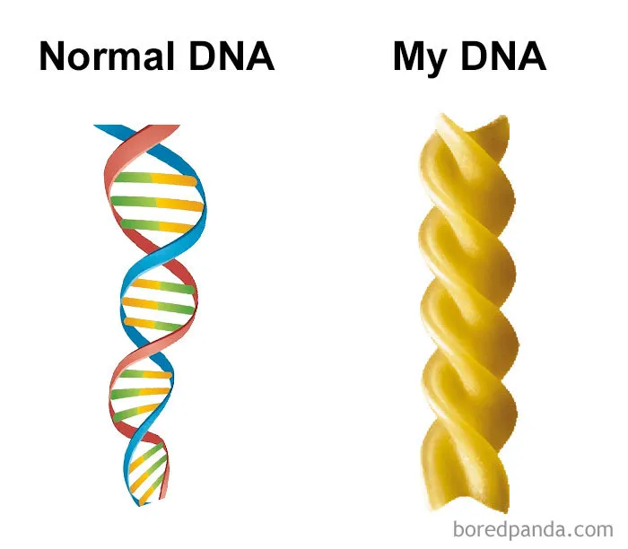 DNA Sequence