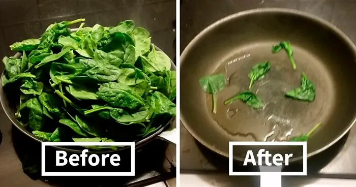 35 Hilarious Food Memes