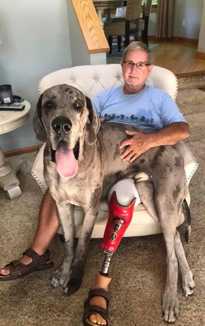 Mi abuelo y el perro se han hecho amigos