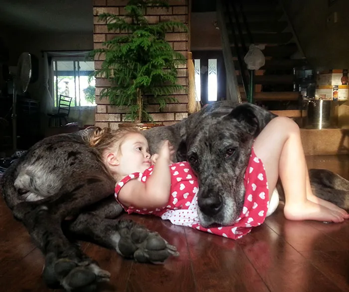 Settling In For Nap Time